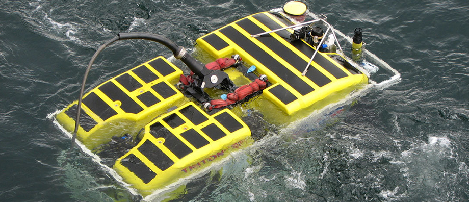 nereids-dive-center-rov-buyuk-img